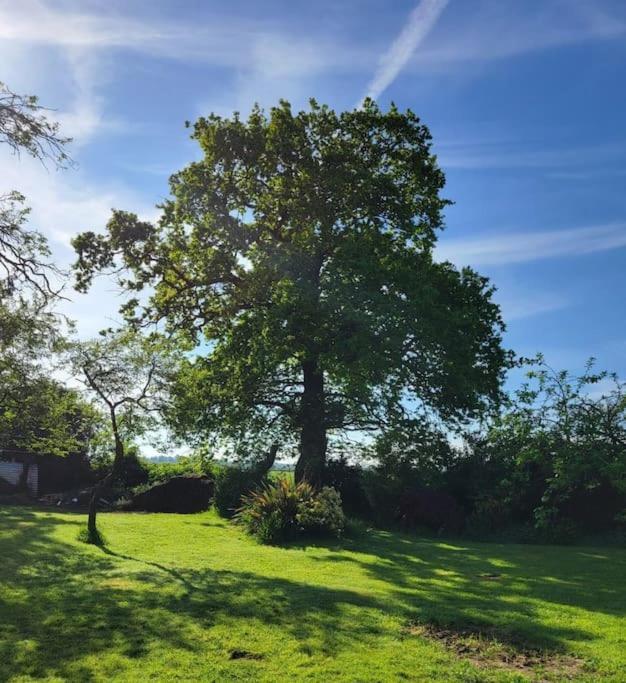 The Garden Rooms チェスター エクステリア 写真